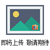 DZ-320全自動拉伸膜包裝機